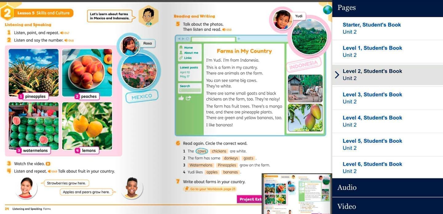 オックスフォード「Buzz」